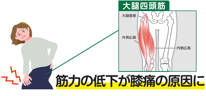 筋力の低下が膝痛の原因に